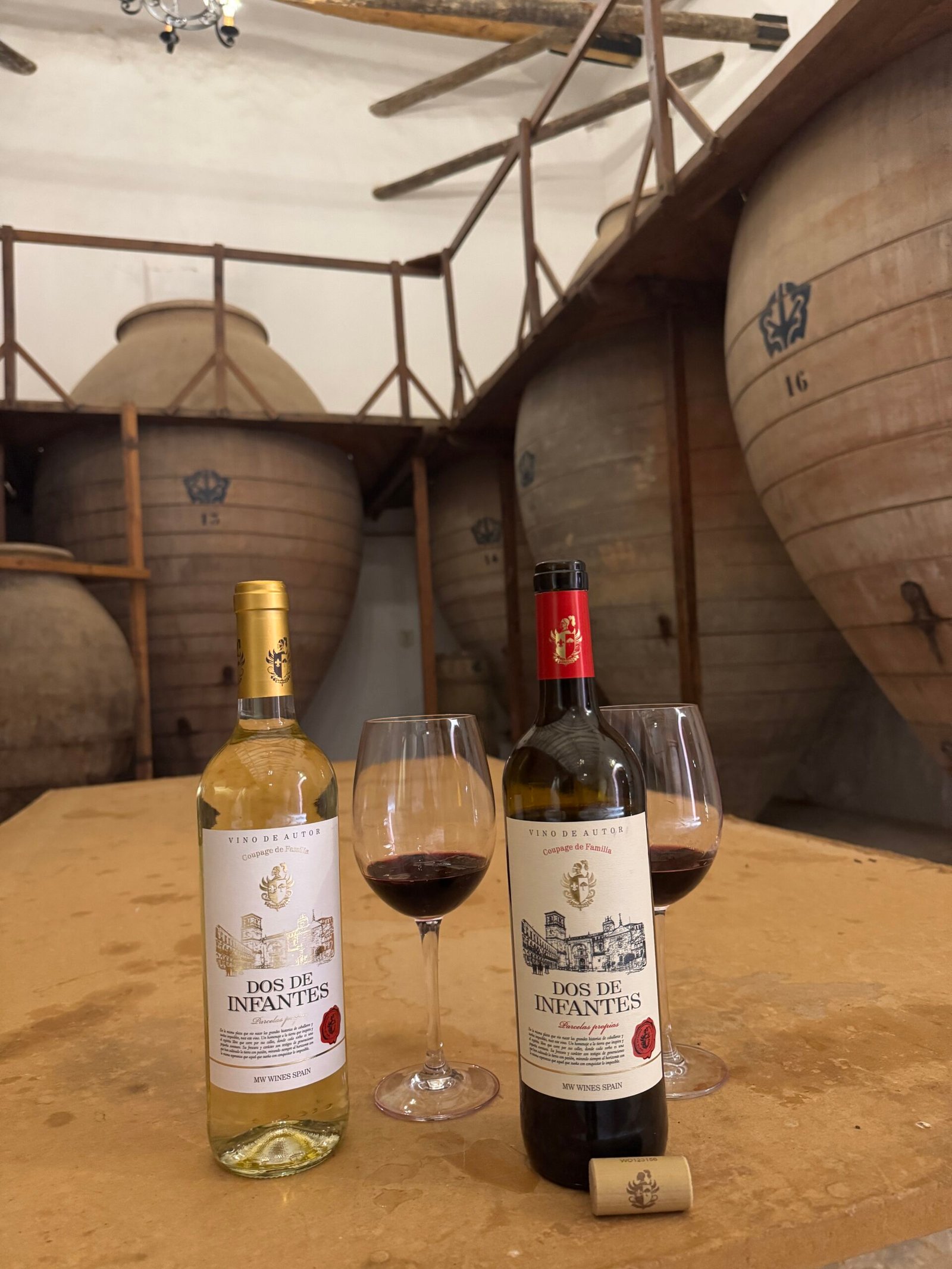 Casa de la Viña · 1855